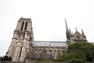 Fami通2月销量榜：《女神异闻录3：Reload》登顶